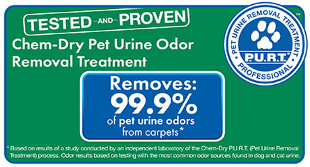 Pet Urine and Odor Removal Treatment by Aloha Chem-Dry in Kapolei, HI